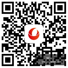 招募幕后,加盟真相,静雨亲述主,体育投注app官网,体育投注app下载,体育投注app登录,体育投注app平台